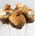 S'mores Cake Pop